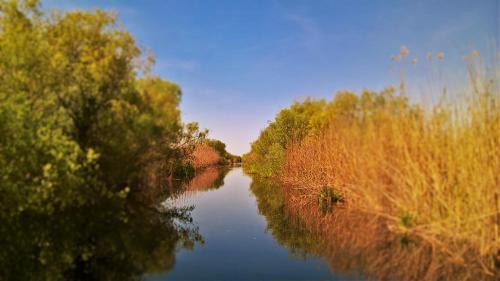 Complex Delta Marina - image 5