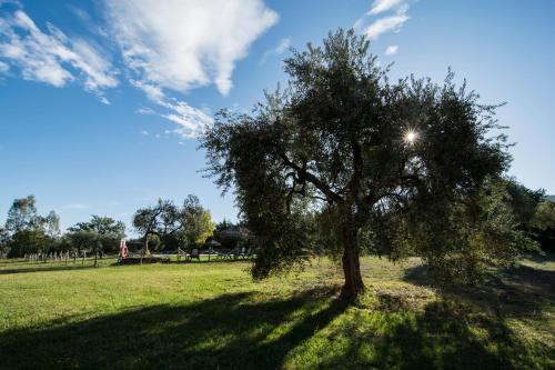 Tenuta Col di Sasso - image 4