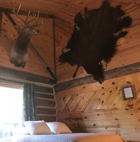 Judith Mountain Lodge - image 5