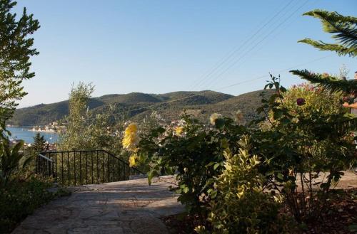 Euktimeno - image 13