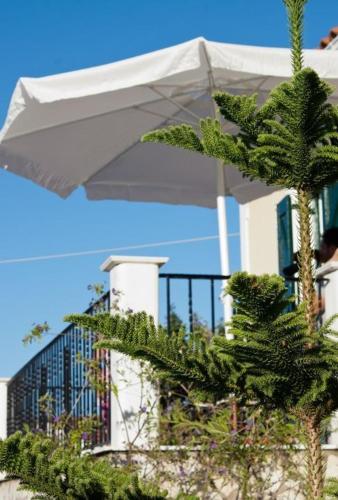 Euktimeno - image 12