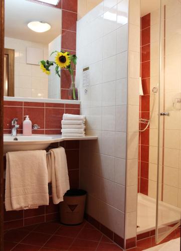 Die Lilie / Hotel Garni, Reutte (Foto 3)