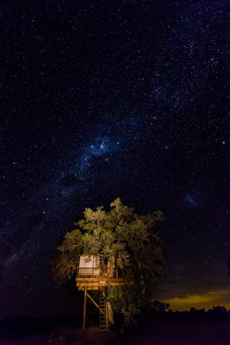 Umlani Bushcamp