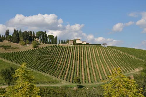 Tenuta