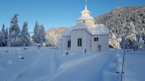 Leilighet i Åmotsdal