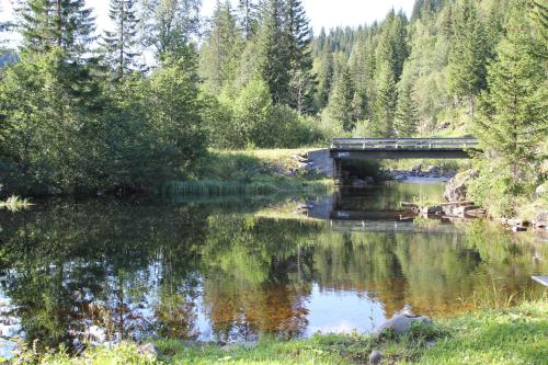 Leilighet i Åmotsdal