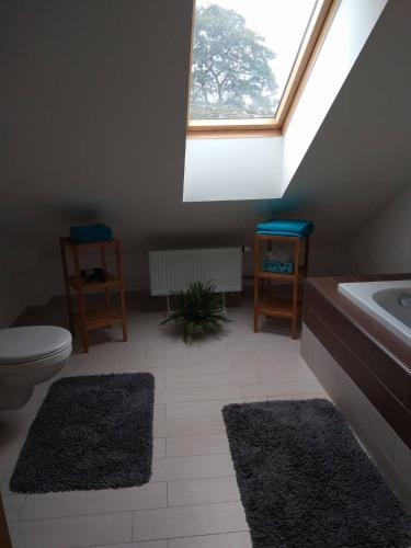 apartmány pod lesem - image 10