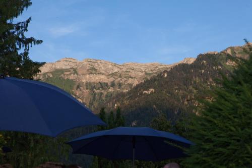 Seehotel Bönigen in Bönigen, Schweiz