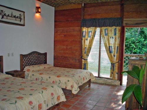 Campamento Rio Lacanja in Champa