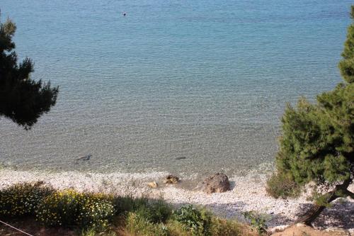  Studio Saplunara 4948d in Saplunara