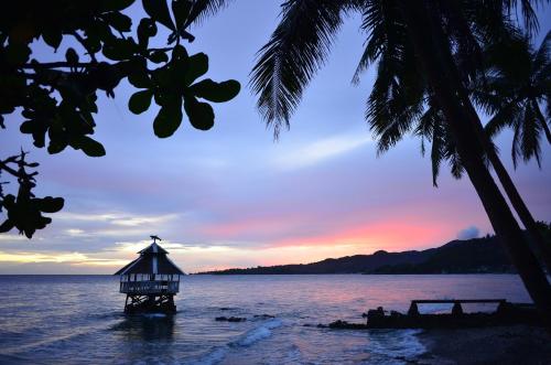 Paseo Del Mar Dive Resort - Bohol