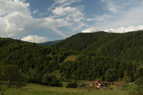 Mir Solntsa - image 6