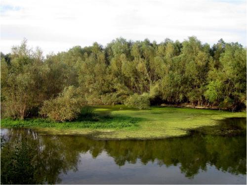 Hotel HM Alfaro - image 10
