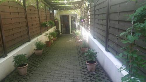 Pension Tempelhof - image 5