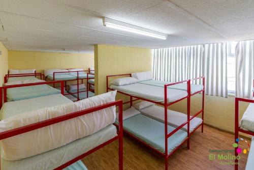 Single Bed in Mixed Dormitory Room