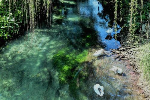 Porto Kalyves - image 4