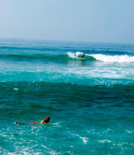 迷迪加玛假日宾馆 迷迪加玛假日宾馆