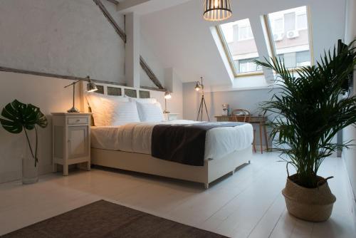 Smokvica Dorćol B&B - image 10