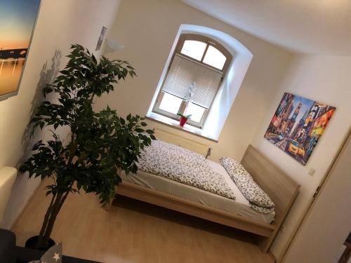 Apartments Altstadtflair - image 8
