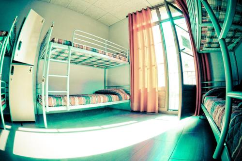 Bed in 6-Bed Dormitory Room