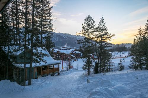 Snow Creek Cabins by Fernie Lodging Co - Accommodation - Fernie