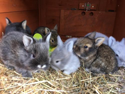 Agriturismo Casa Aurora - image 12