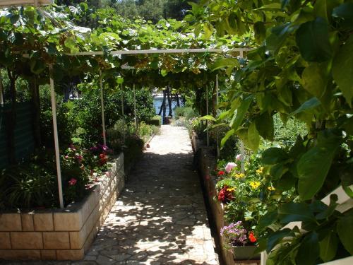  Apartments Lucija in Stari Grad