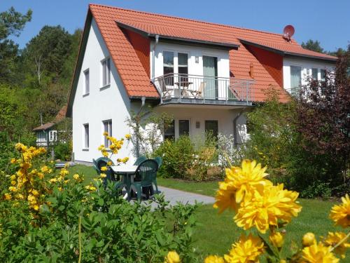 B&B Kölpinsee - Steinbock-Ferienwohnungen - Bed and Breakfast Kölpinsee