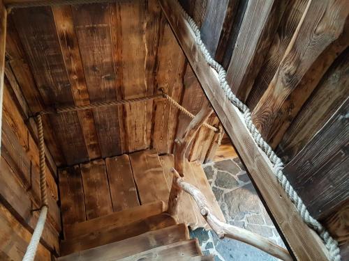 Stodola Sonja in Lucky