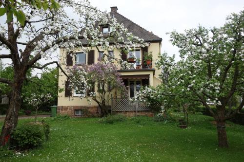 Haus Victoria in Marburg an der Lahn, Deutschland
