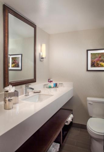 Crowne Plaza Phoenix Airport an IHG Hotel - image 4