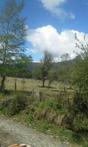 Cabañas piedra Alta, Huilo Huilo