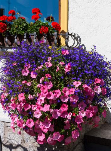 Hotel Dolomiten - image 10