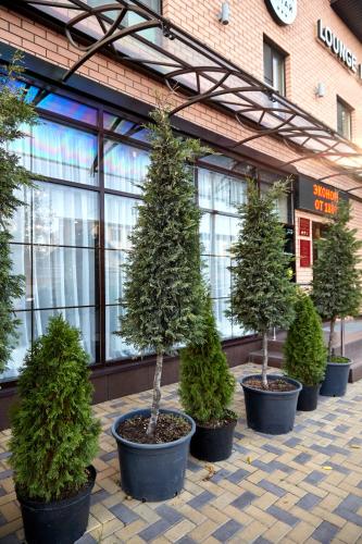 Hotel Altay - main image