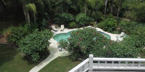 Garden, Heron Cay Lakeview Bed & Breakfast in Mount Dora (FL)