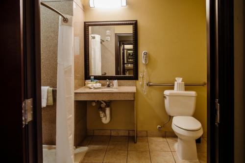 Holiday Inn Express Hotel & Suites Waller, an IHG Hotel