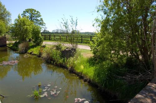 Holiday Home image 5