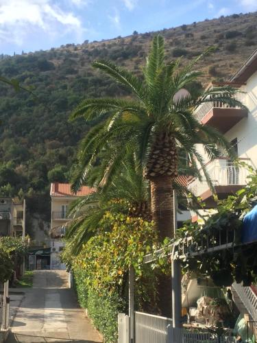 Guest House Bajceta - main image