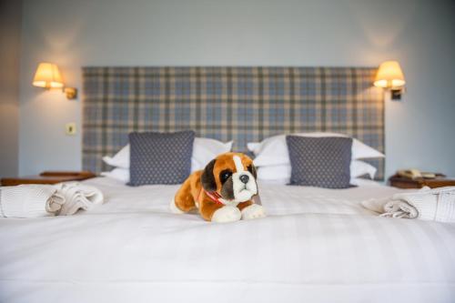 Lake Vyrnwy Hotel & Spa - image 9