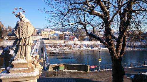 Ferienwohnung an der idyllischen Salzachschleife Nähe Salzburg