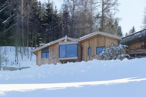Chalet Alm Planai - image 3
