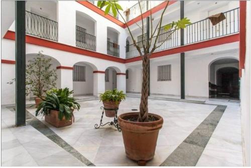 Ático Duplex, Sevilla (Foto 11)
