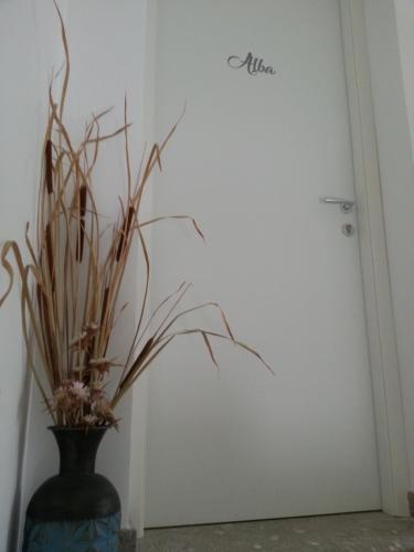 Studio Apartment image 3