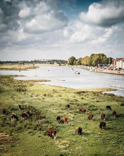 Deventer Heritage en Boutique B&B museumhuis Huize "De Worp"