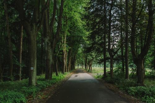 WERANDA z widokiem na Karkonosze – Szklarska Poreba, ND