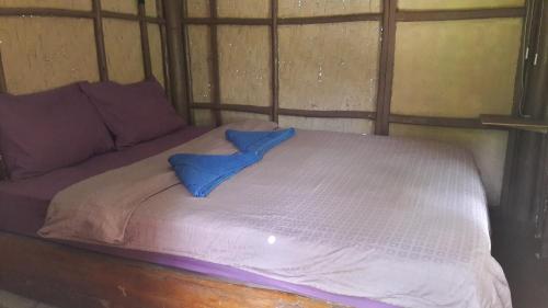 Purple Monkey Backpackers