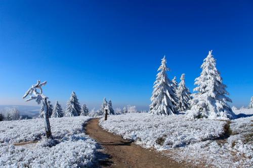 Hapimag Ferienwohnungen Winterberg