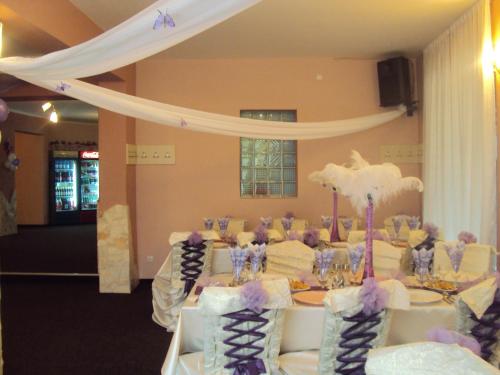 Pension Regal in Satu Mare