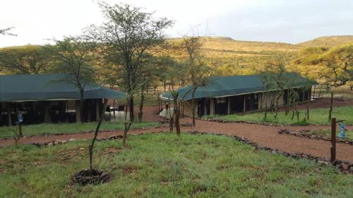 A Hotelcom Ole Serai Luxury Camp Luxury Tent Serengeti - 