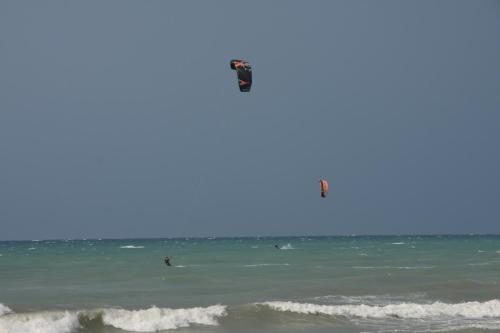The Wave - image 13
